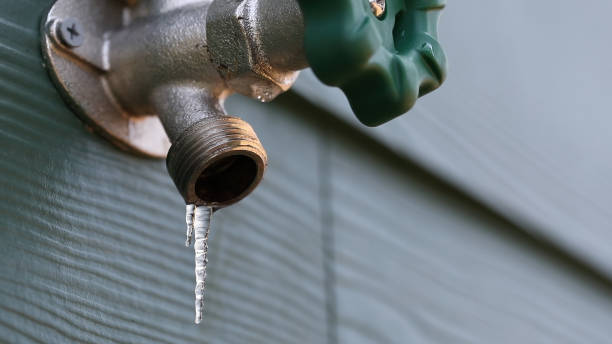 Best Leak Detection Services  in Danville, KY
